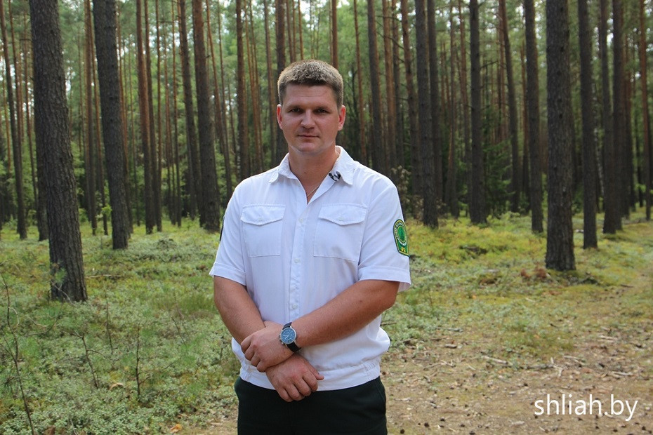 Ровесники молодой Беларуси. Традиция рода – работать в лесу